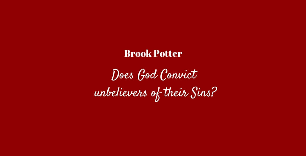 Does-God-Convict-unbelievers-of-their-Sins-1
