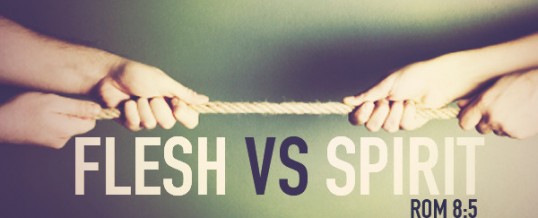 The Flesh/Spirit Contrast, Pastor David B. Curtis (video teaching)